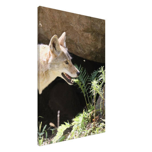 12f6de4b-5bcd-4017-ba62-a41d8dc0f19a