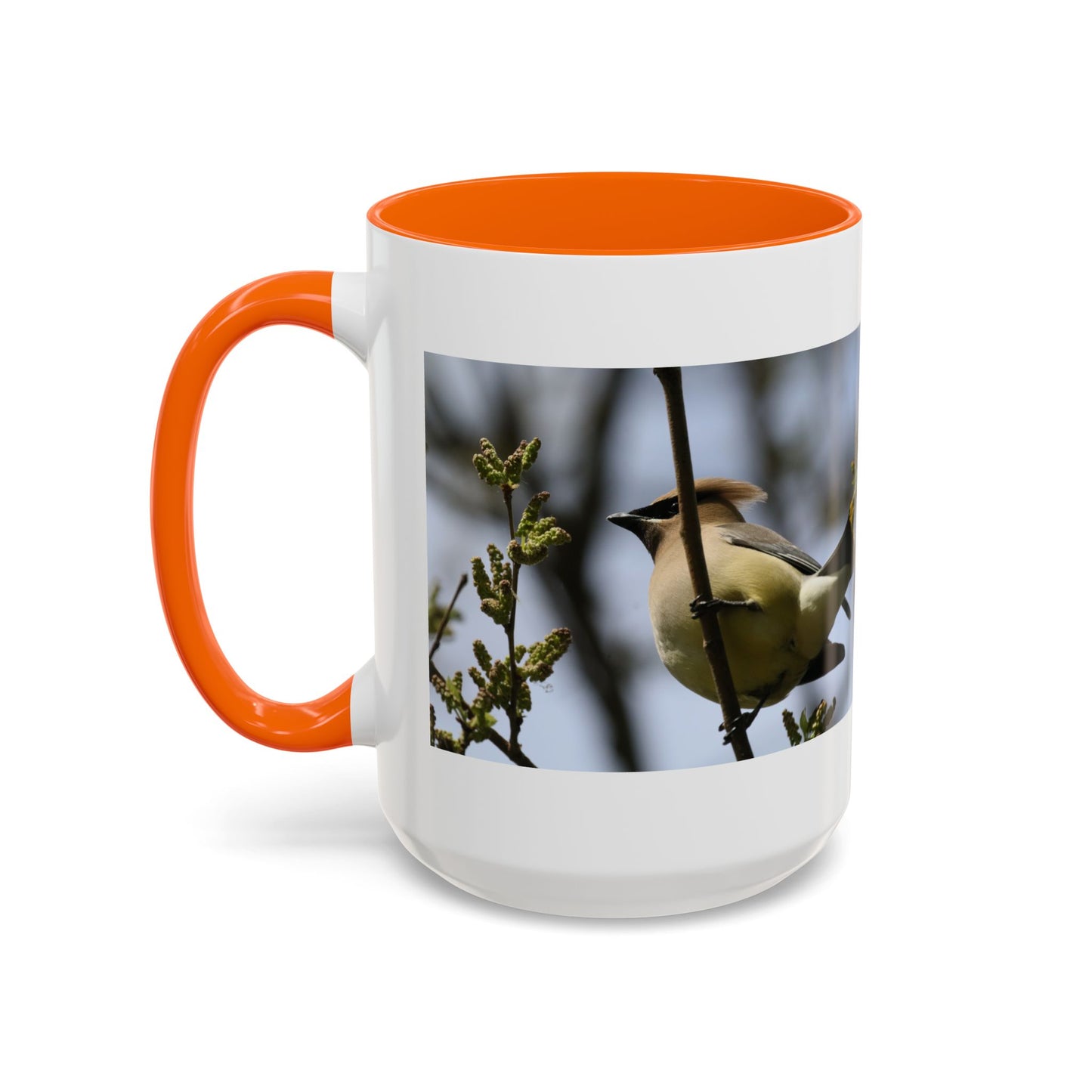 Cedar Waxwing Bird Photo Accent Coffee Mug