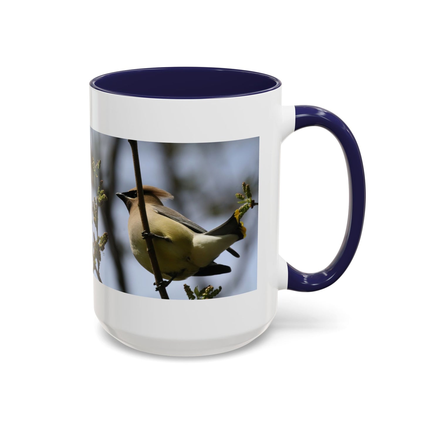 Cedar Waxwing Bird Photo Accent Coffee Mug