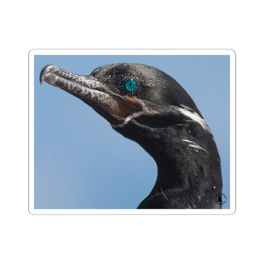 Blue-Eyed Cormorant Kiss-Cut Sticker — Wildlife Laptop Decal