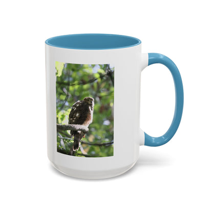 Hawk Perch Accent Coffee Mug (11/15 oz) – Nature Bird Photography