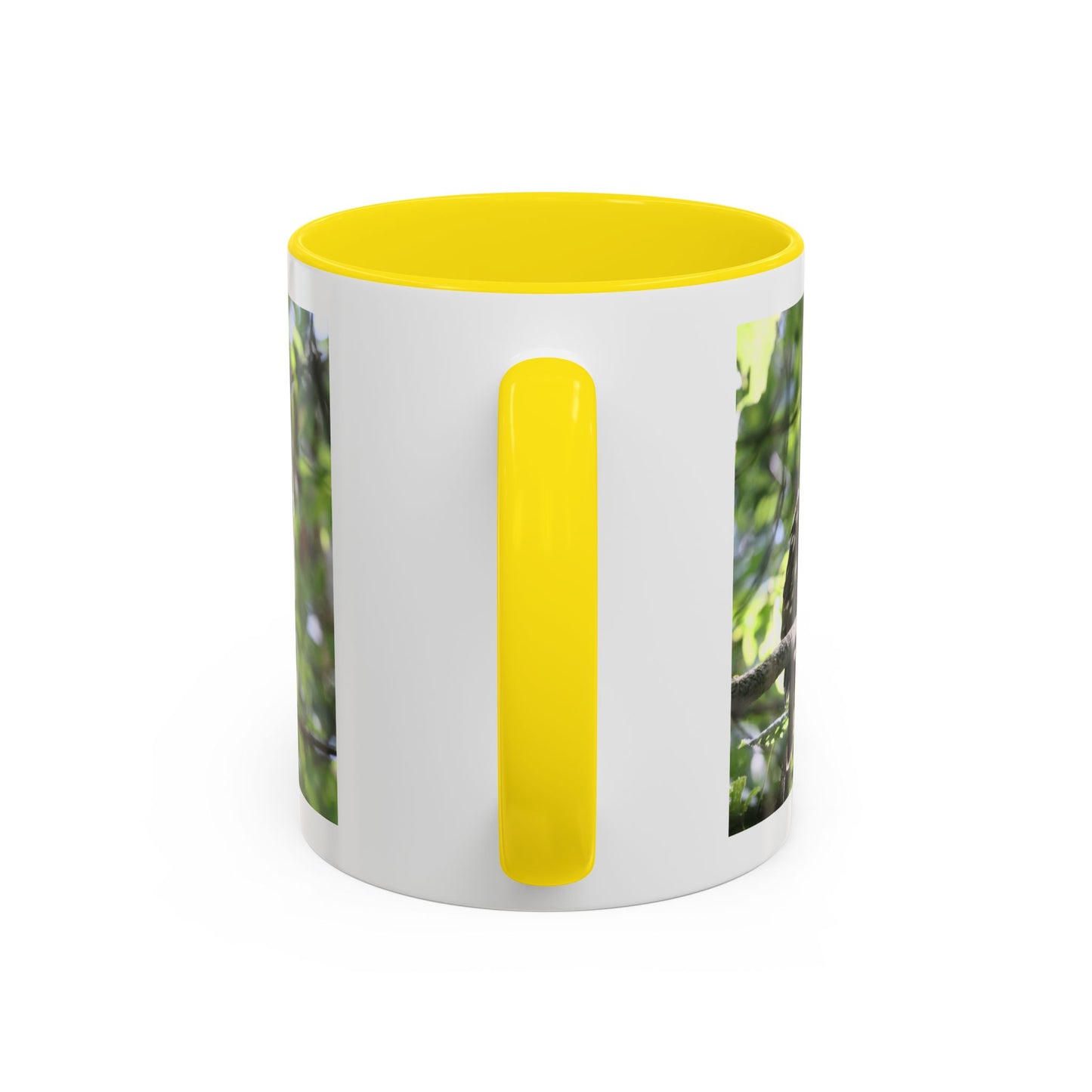 Hawk Perch Accent Coffee Mug (11/15 oz) – Nature Bird Photography