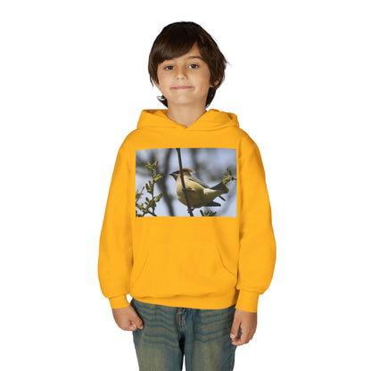 Cedar Waxwing Bird Hoodie | Youth Hooded Sweatshirt