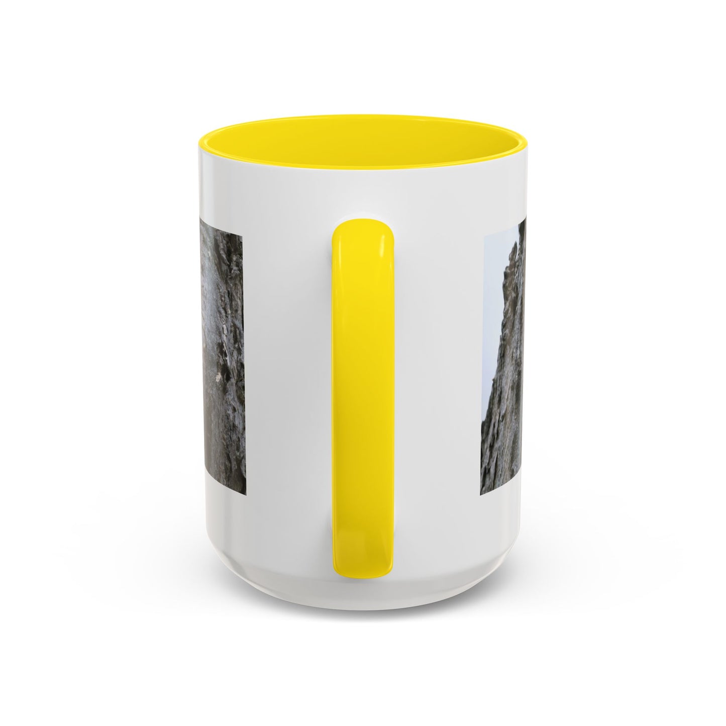 Bluebird in Tree Cavity Accent Coffee Mug — Nature Wildlife Ceramic Mug (11/15oz)