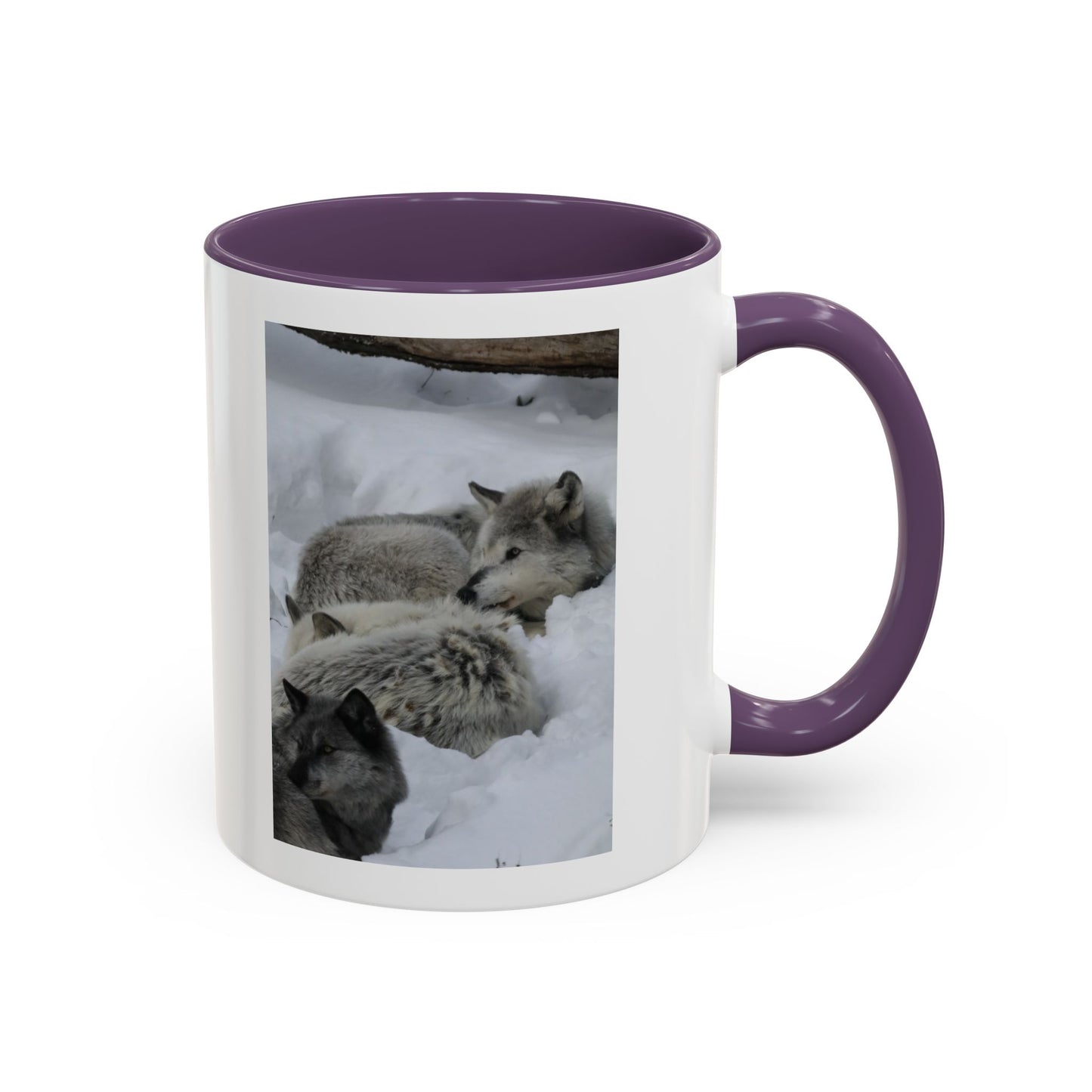Wolf Pack Coffee Mug – Accent Black Handle 11/15oz, Winter Wildlife Photo