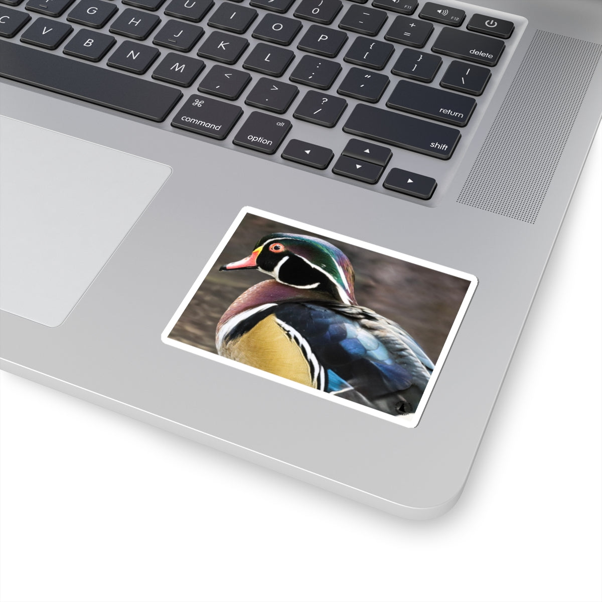 Wood Duck Kiss-Cut Sticker — Colorful Waterfowl Vinyl Decal for Laptop, Water Bottle, Planner
