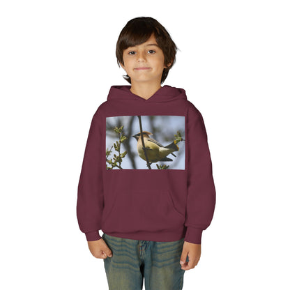 Cedar Waxwing Bird Hoodie | Youth Hooded Sweatshirt