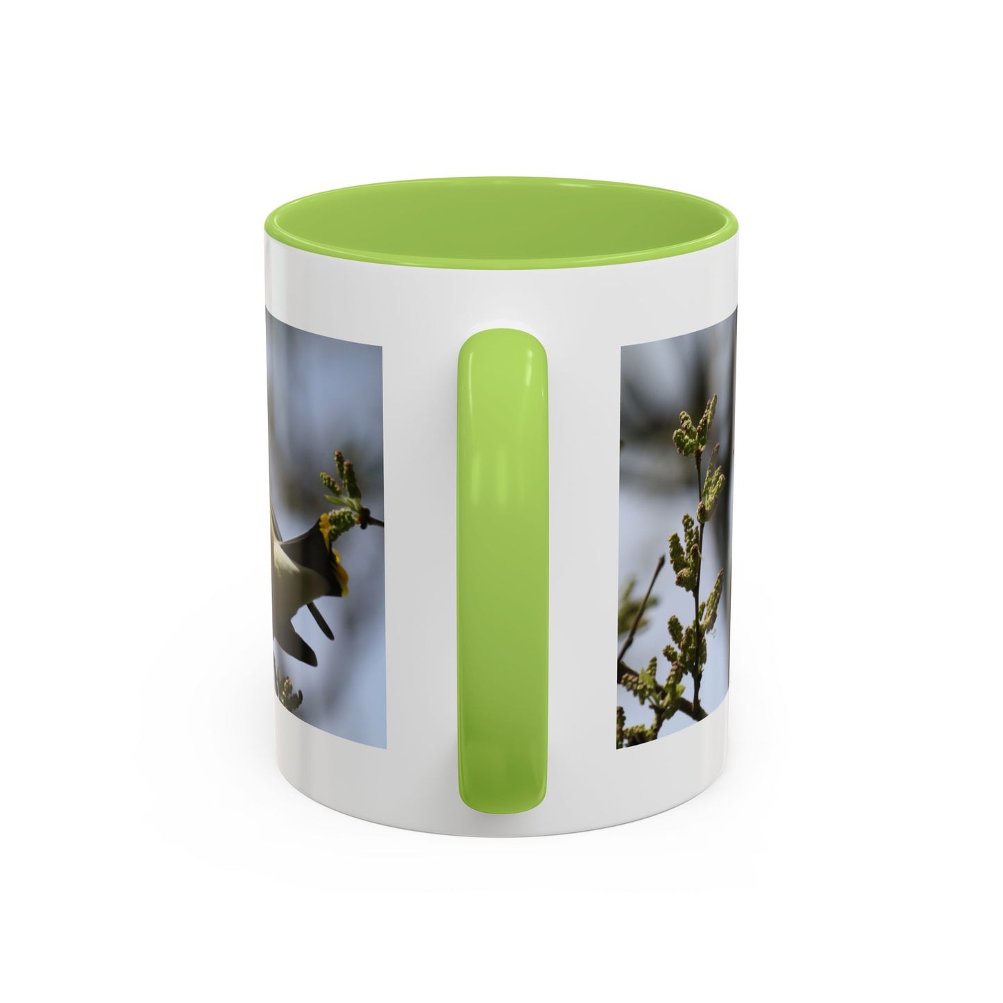 Cedar Waxwing Bird Photo Accent Coffee Mug