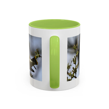 Cedar Waxwing Bird Photo Accent Coffee Mug