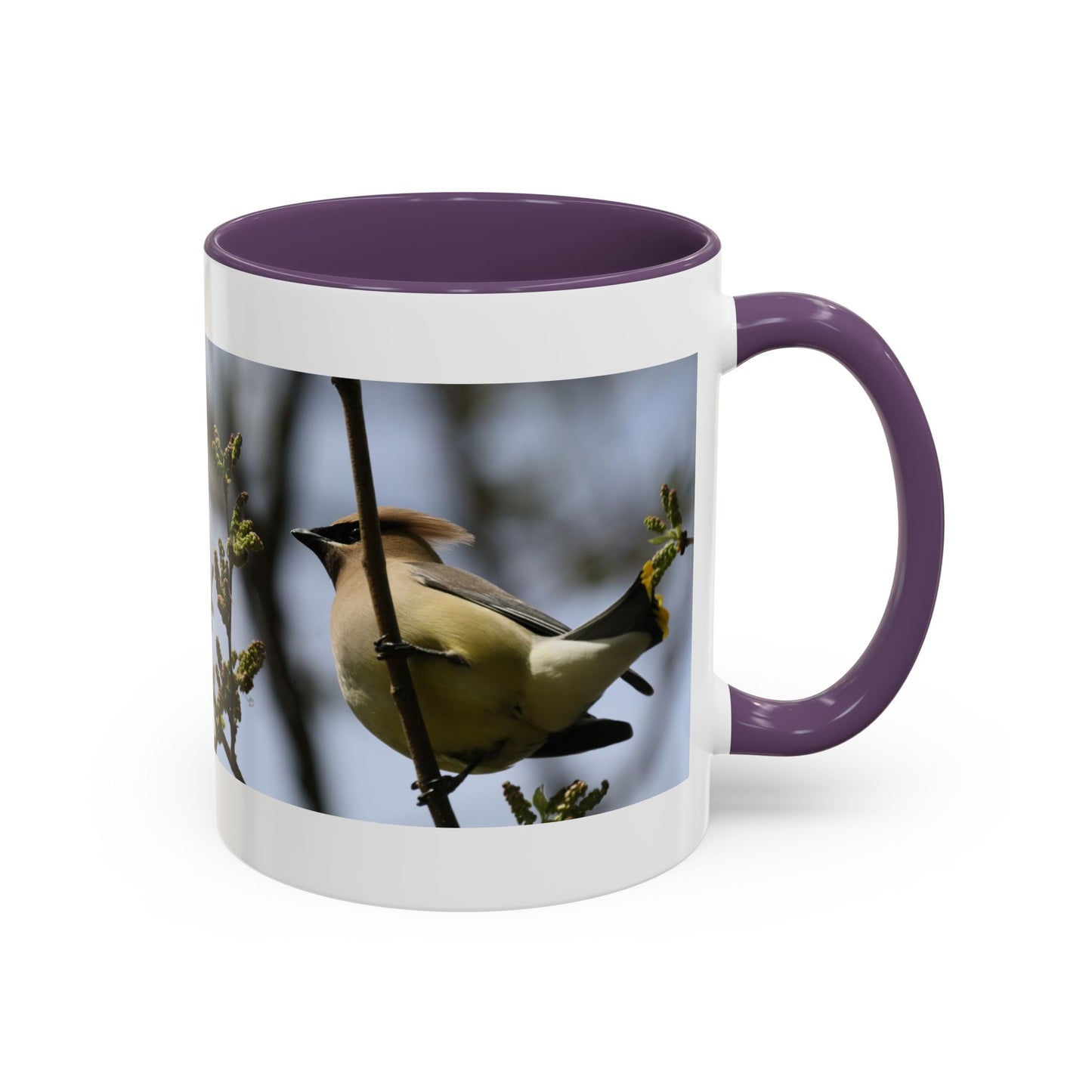 Cedar Waxwing Bird Photo Accent Coffee Mug