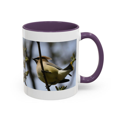 Cedar Waxwing Bird Photo Accent Coffee Mug