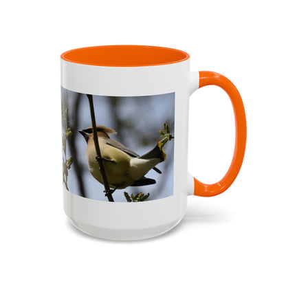 Cedar Waxwing Bird Photo Accent Coffee Mug