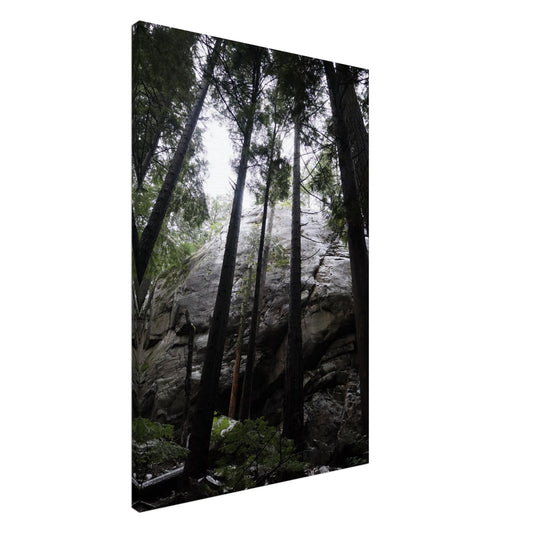 132ffc22-62fe-4a4f-8ff8-c244a2c394af