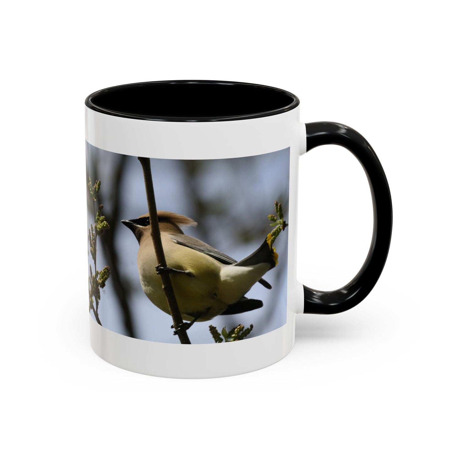 Cedar Waxwing Bird Photo Accent Coffee Mug