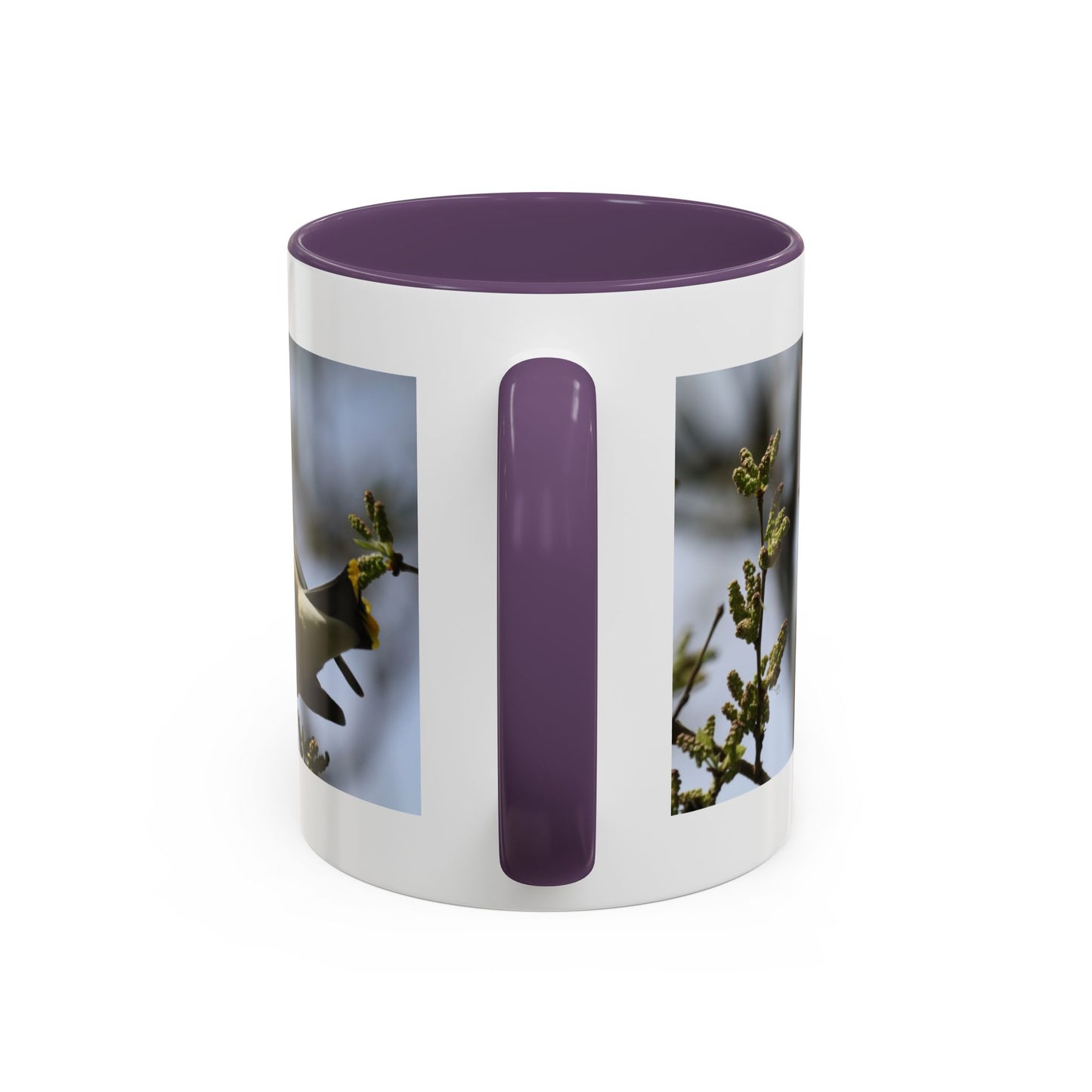 Cedar Waxwing Bird Photo Accent Coffee Mug