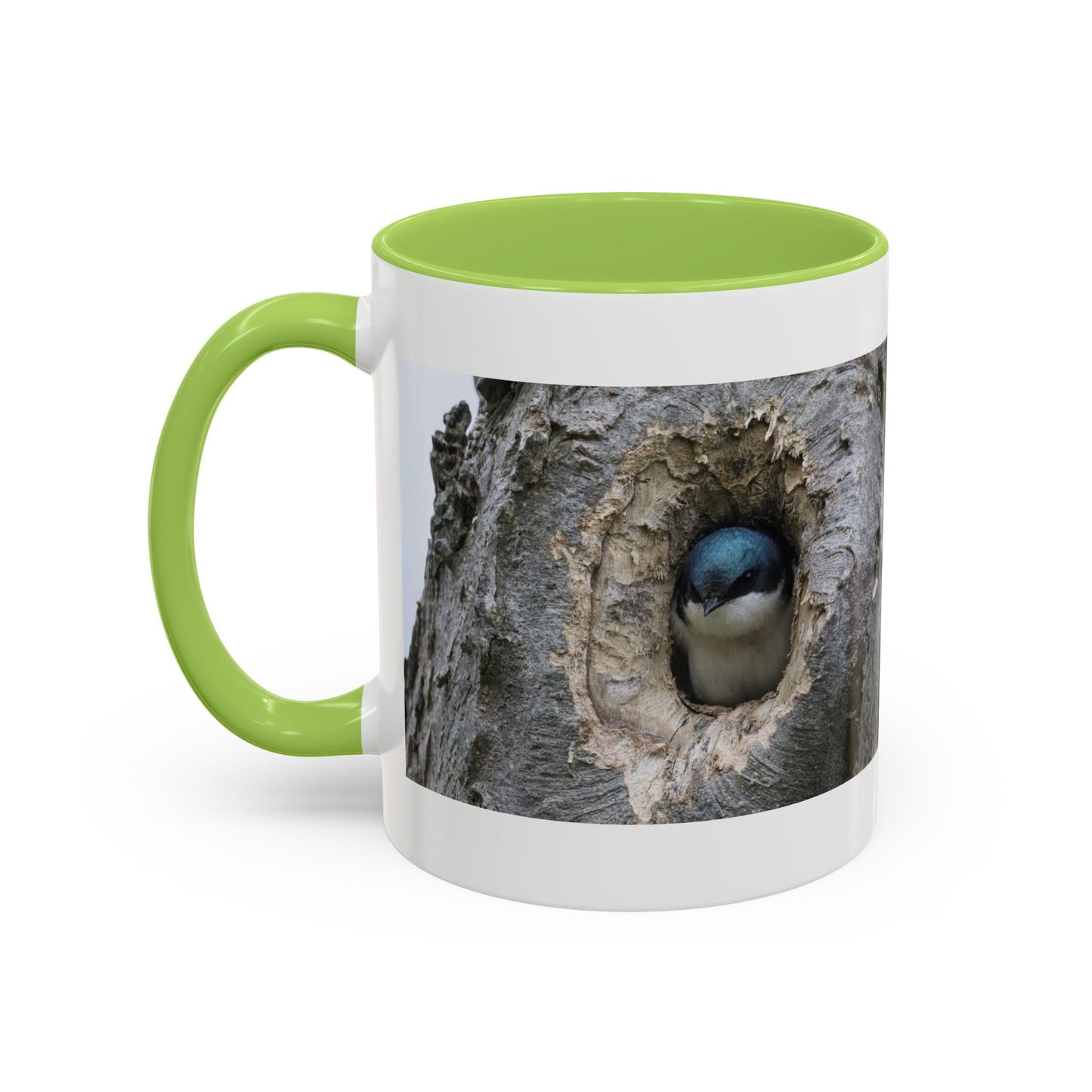 Bluebird in Tree Cavity Accent Coffee Mug — Nature Wildlife Ceramic Mug (11/15oz)