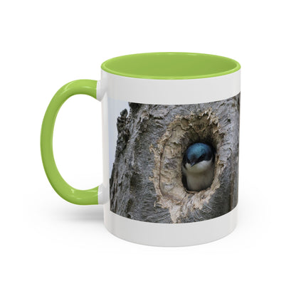 Bluebird in Tree Cavity Accent Coffee Mug — Nature Wildlife Ceramic Mug (11/15oz)