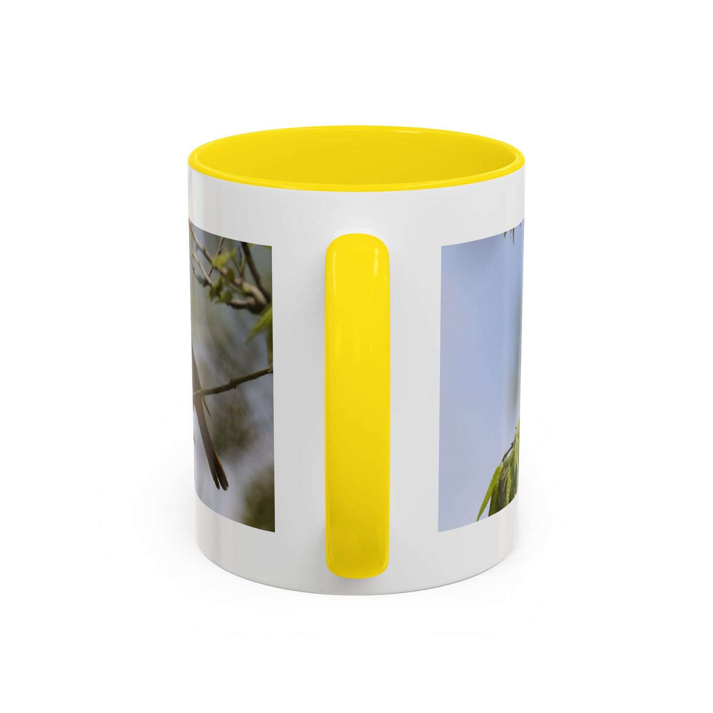 Baltimore Oriole Coffee Mug — Birdwatching Accent Mug (11/15oz)