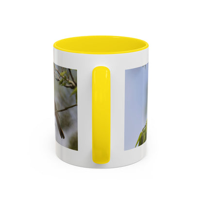 Baltimore Oriole Coffee Mug — Birdwatching Accent Mug (11/15oz)