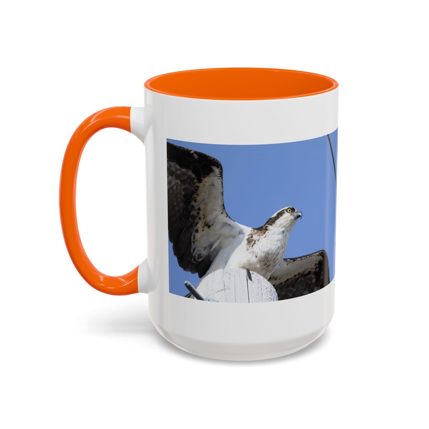 Osprey Photo Accent Coffee Mug – Wildlife Bird Photography Drinkware (11/15 oz)