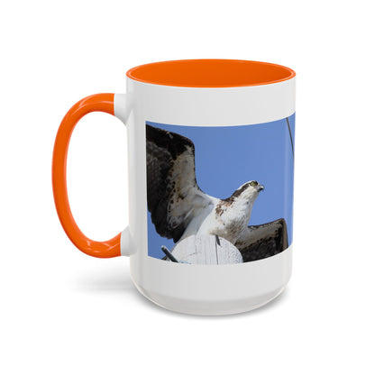 Osprey Photo Accent Coffee Mug – Wildlife Bird Photography Drinkware (11/15 oz)