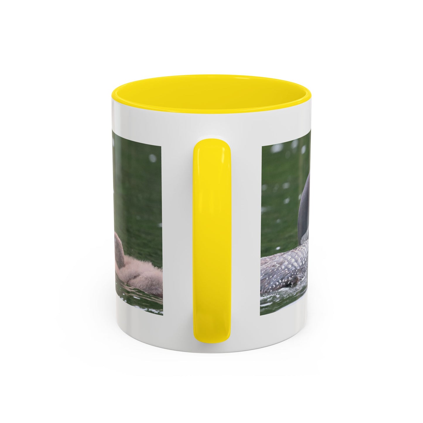 Loon Family Accent Coffee Mug – Wildlife Photo Tea Mug (11/15 oz)