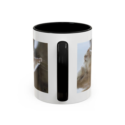 Flying Squirrel Accent Coffee Mug — Cute Wildlife Photo Mug (11/15oz)