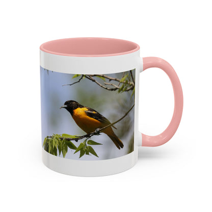 Baltimore Oriole Coffee Mug — Birdwatching Accent Mug (11/15oz)