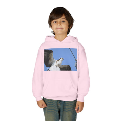Youth Osprey Photo Hoodie — Kids Birdwatching Nature Pullover