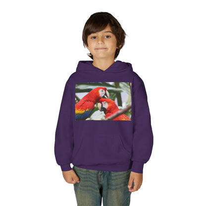 Youth Parrot Hoodie – Colorful Scarlet Macaw Kids Pullover