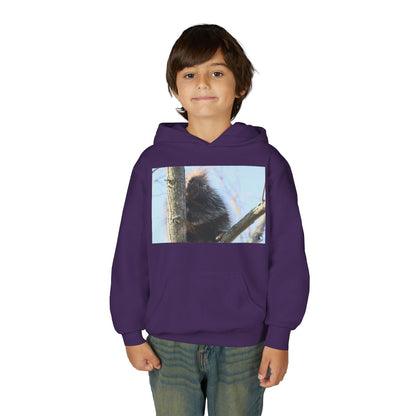 Youth Hoodie with Tree-Climbing Porcupine Photo – Cute Wildlife Kids Sweatshirt