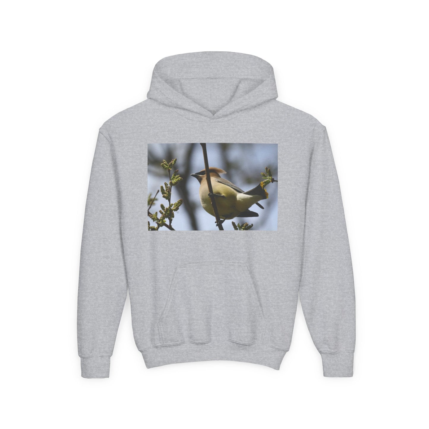 Cedar Waxwing Bird Hoodie | Youth Hooded Sweatshirt