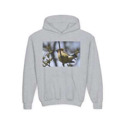 Cedar Waxwing Bird Hoodie | Youth Hooded Sweatshirt