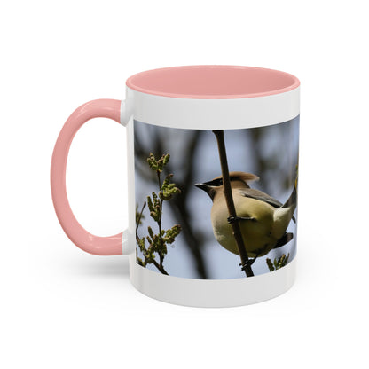Cedar Waxwing Bird Photo Accent Coffee Mug