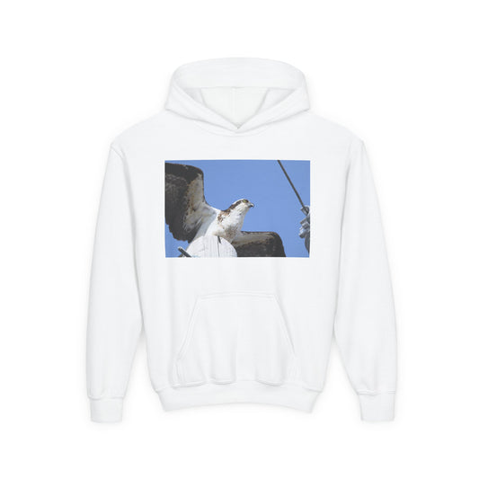 Youth Osprey Photo Hoodie — Kids Birdwatching Nature Pullover