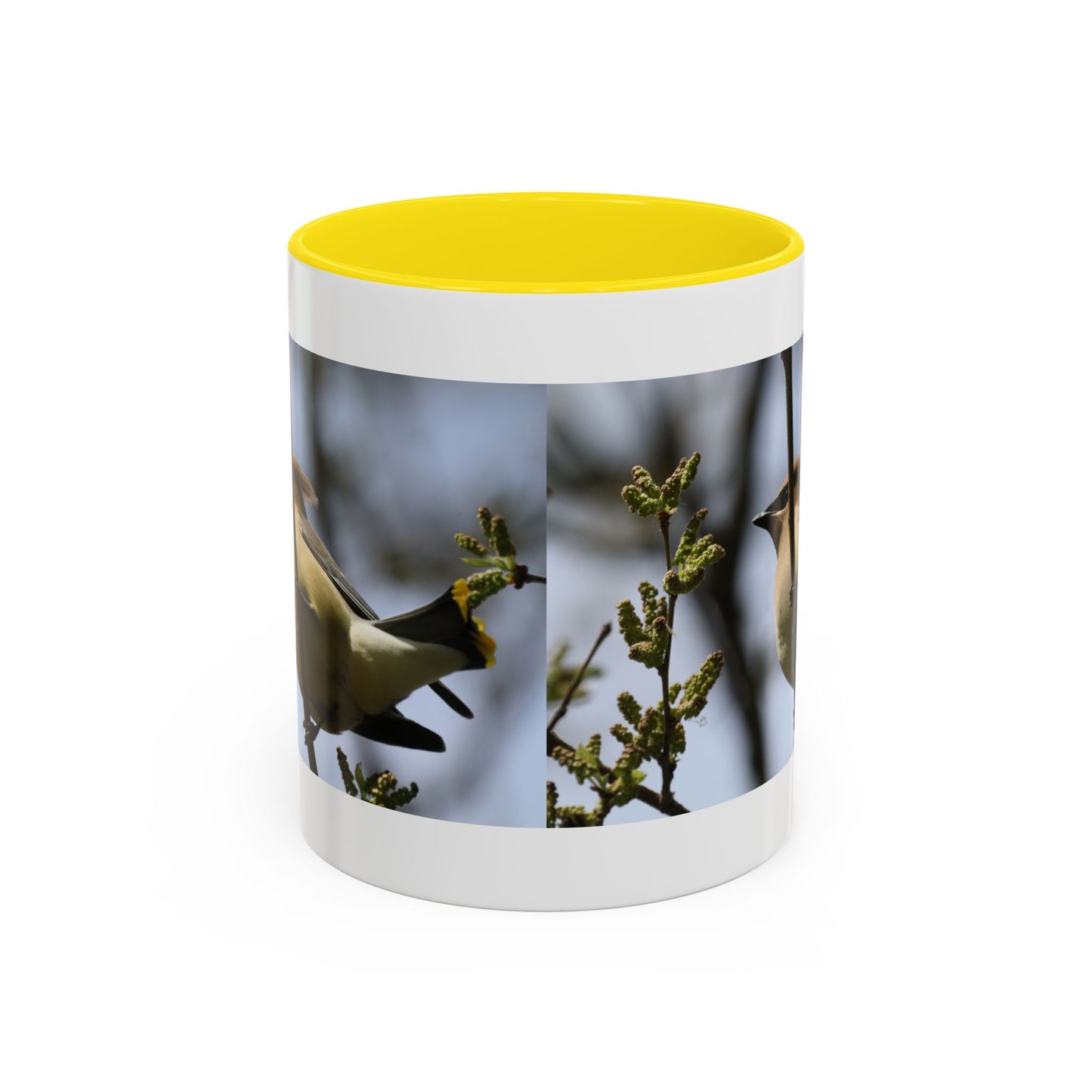 Cedar Waxwing Bird Photo Accent Coffee Mug