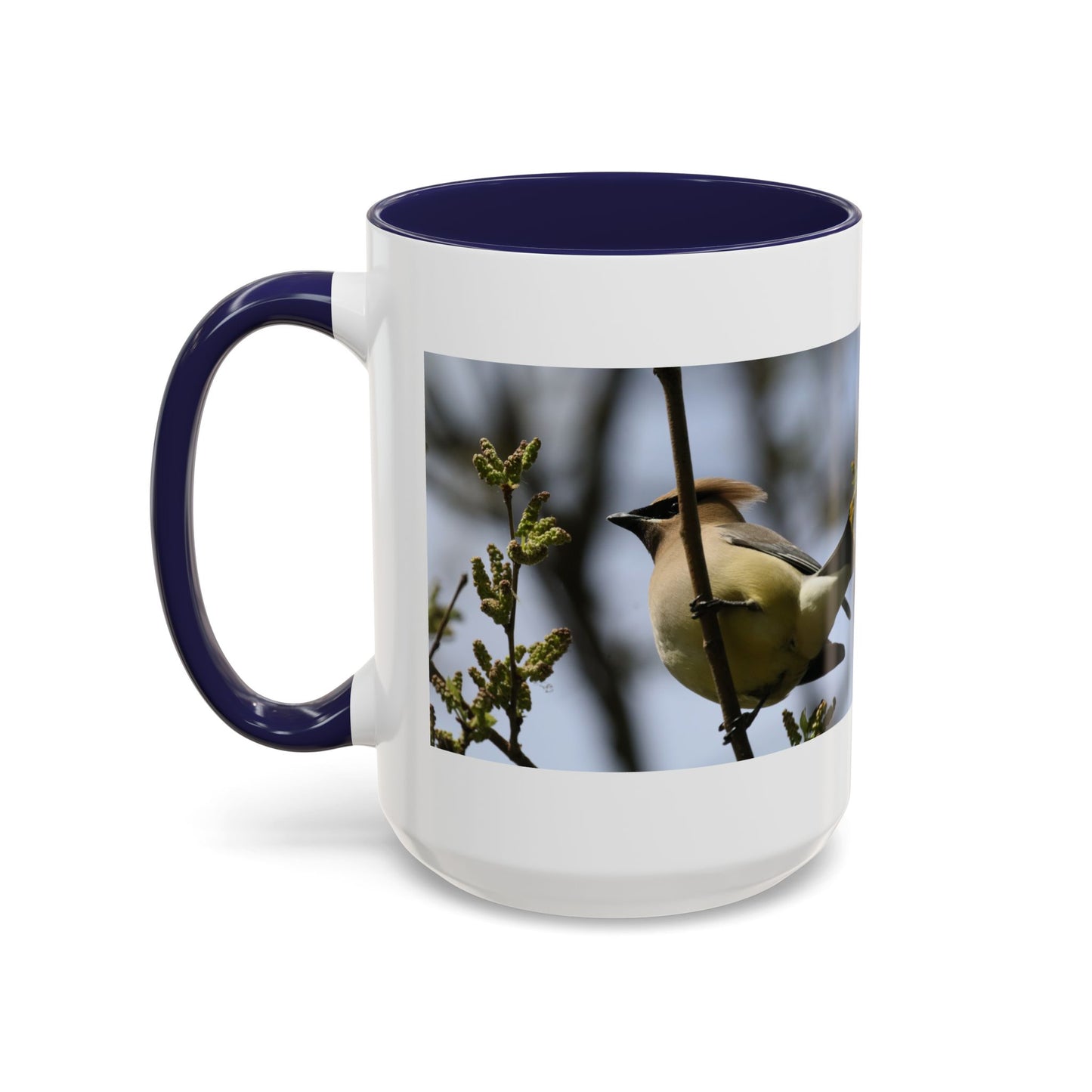 Cedar Waxwing Bird Photo Accent Coffee Mug