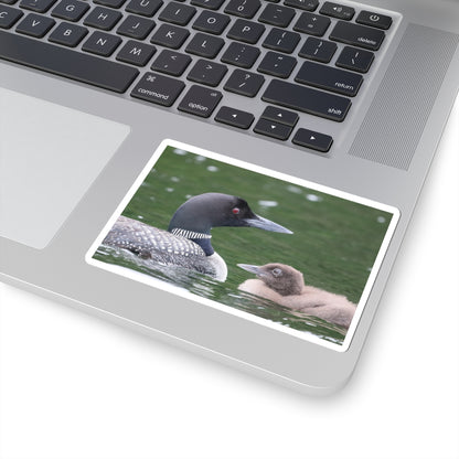 Common Loon Sticker — Kiss-Cut Wildlife Sticker with Loon and Chick, Nature Laptop Decal