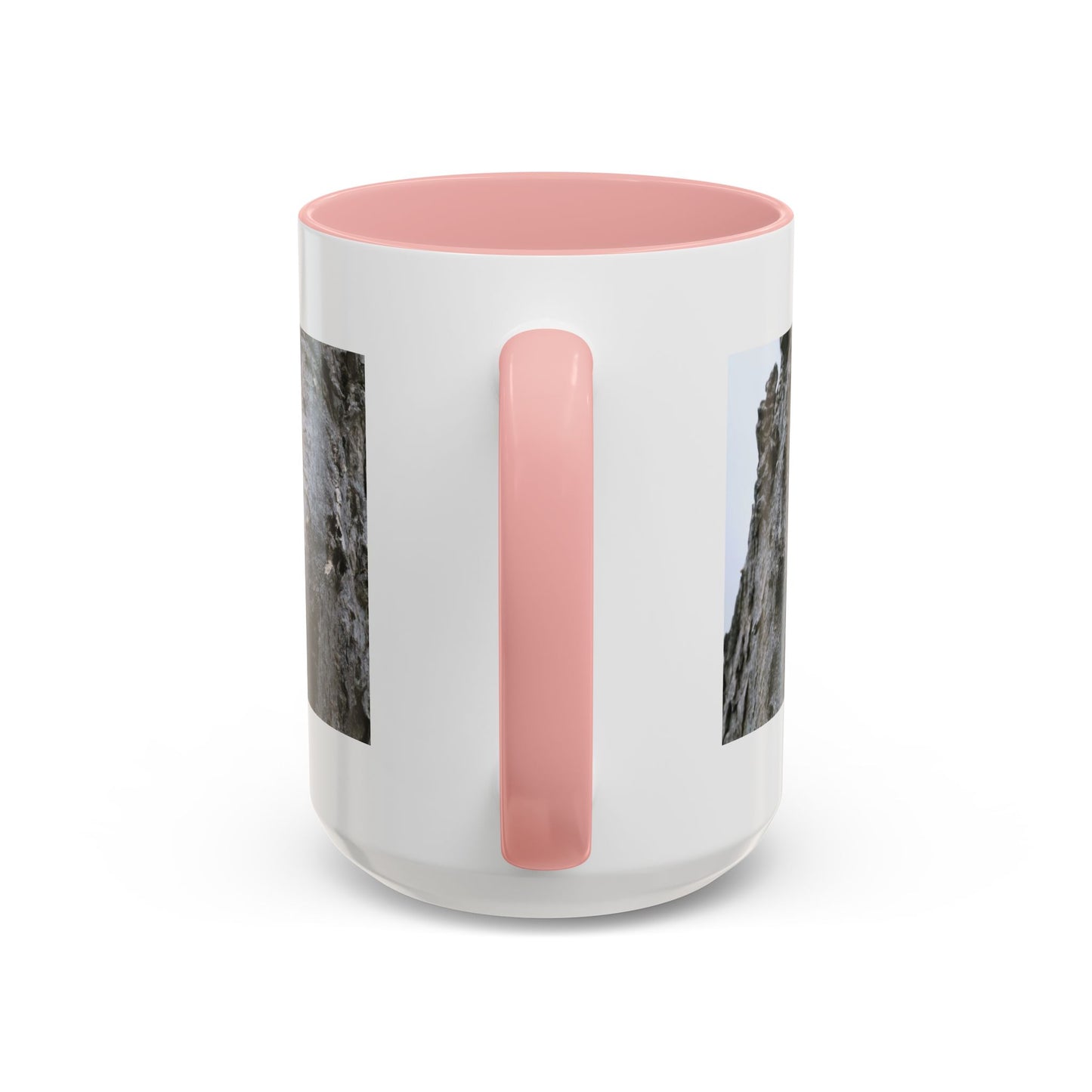 Bluebird in Tree Cavity Accent Coffee Mug — Nature Wildlife Ceramic Mug (11/15oz)