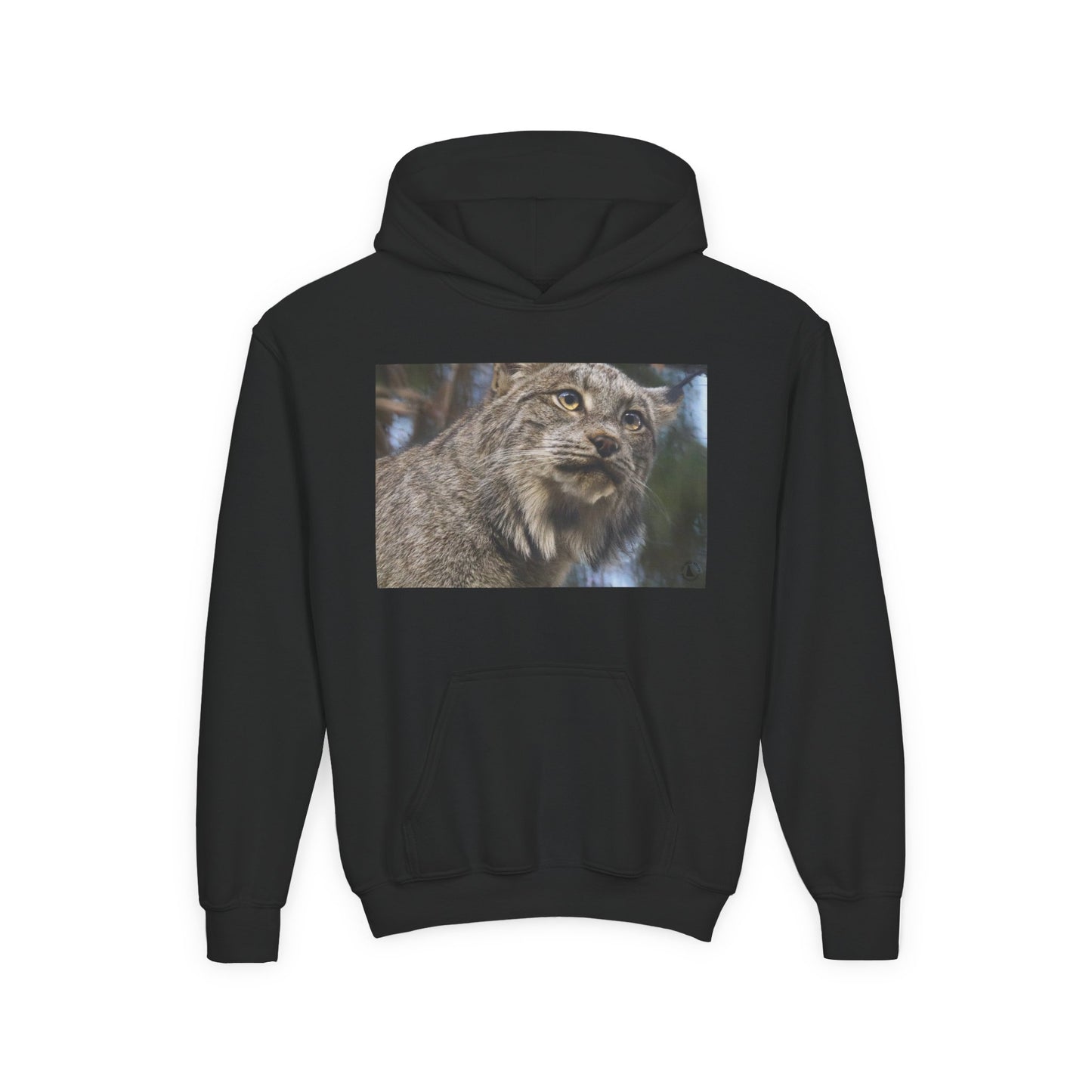 Youth Lynx Hoodie – Realistic Wildcat Photo Pullover for Kids