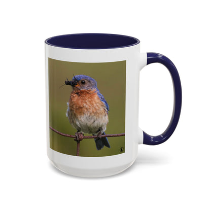 Bluebird Photo Coffee Mug — Eastern Bluebird with Insect Accent Mug (11/15 oz)