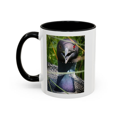 Common Loon Photo Accent Coffee Mug (11/15oz)