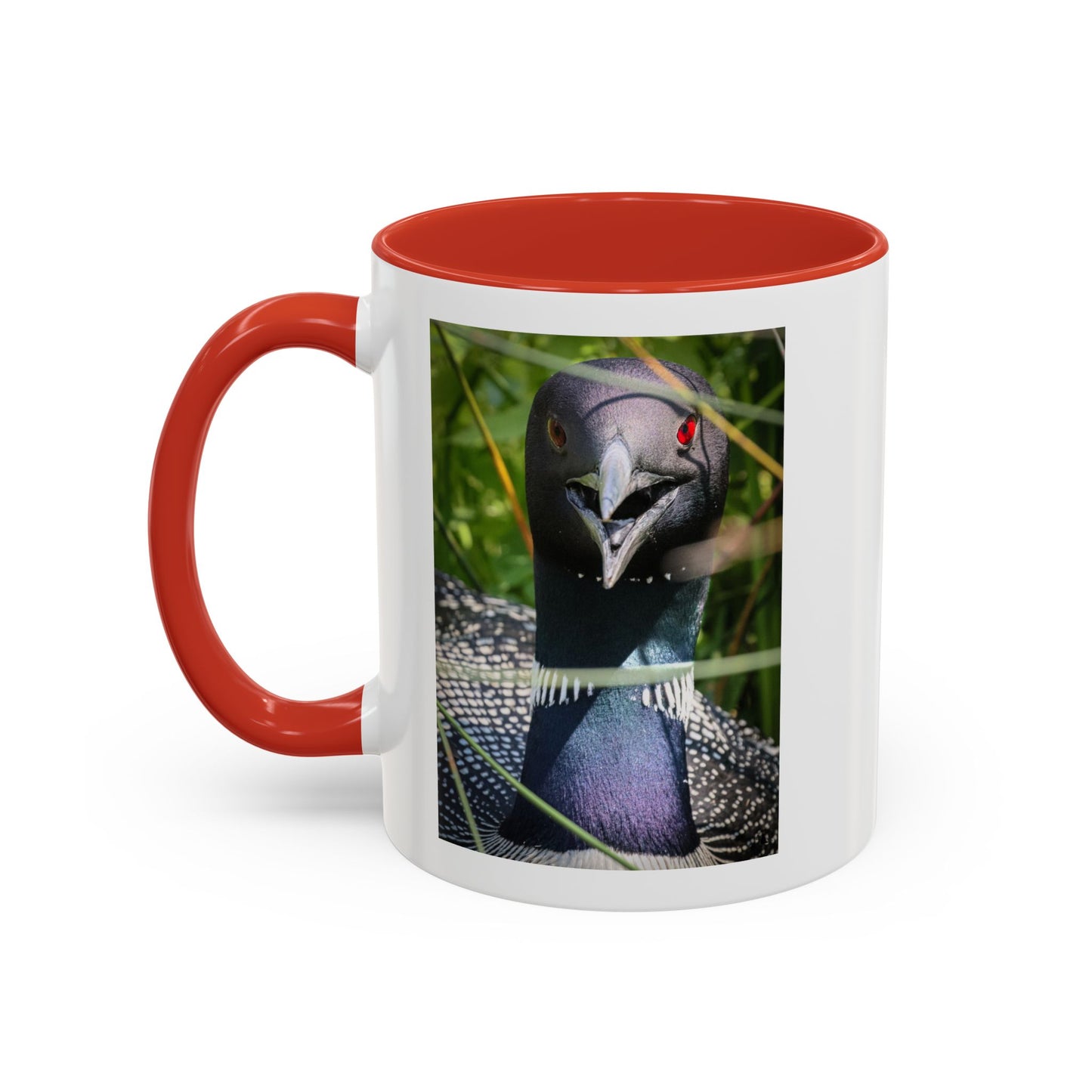 Common Loon Photo Accent Coffee Mug (11/15oz)