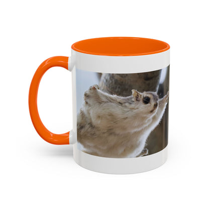 Flying Squirrel Accent Coffee Mug — Cute Wildlife Photo Mug (11/15oz)