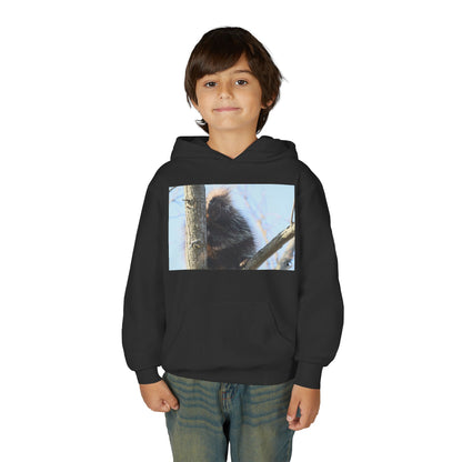 Youth Hoodie with Tree-Climbing Porcupine Photo – Cute Wildlife Kids Sweatshirt