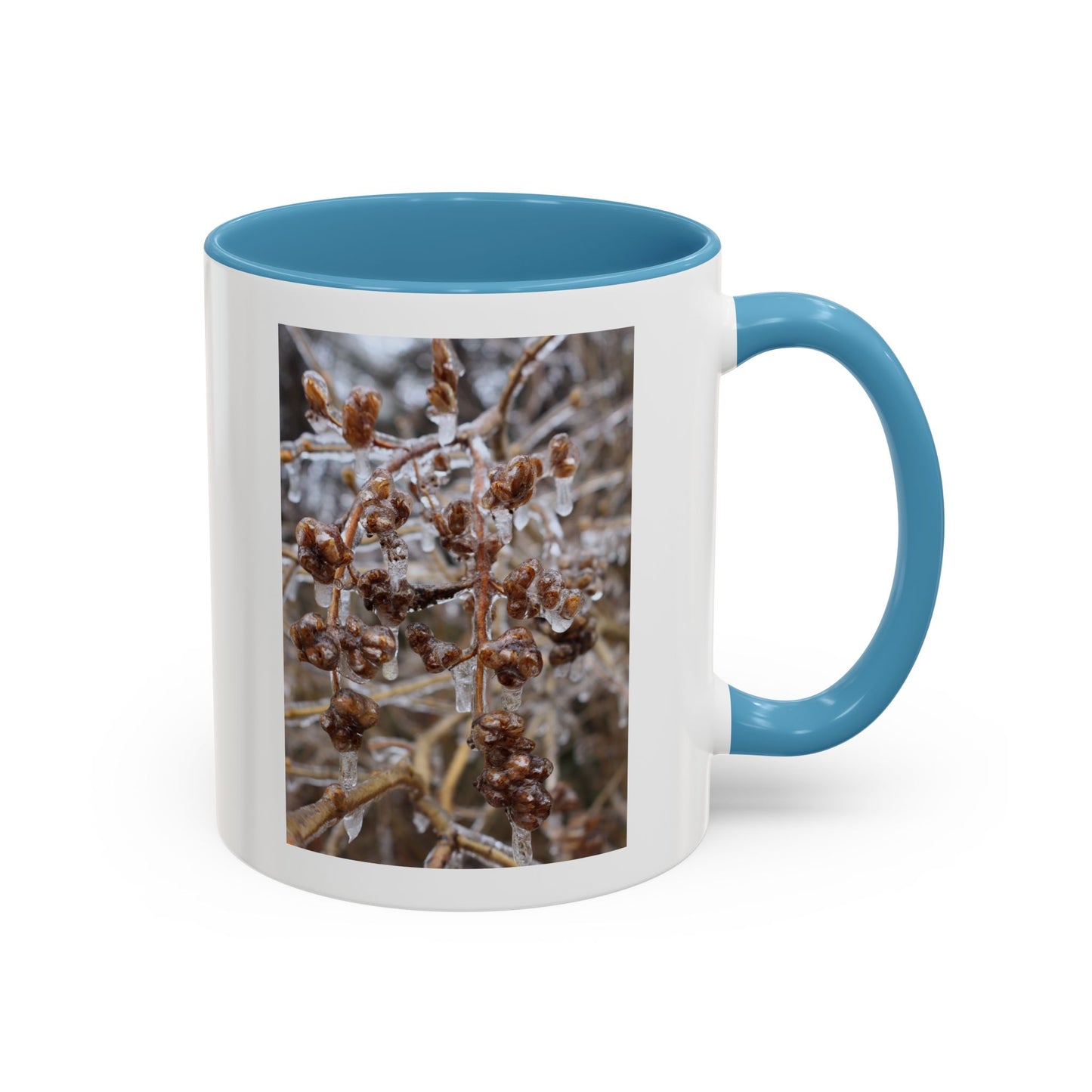 Ice-Coated Berries Accent Coffee Mug (11/15 oz) — Winter Nature Photo