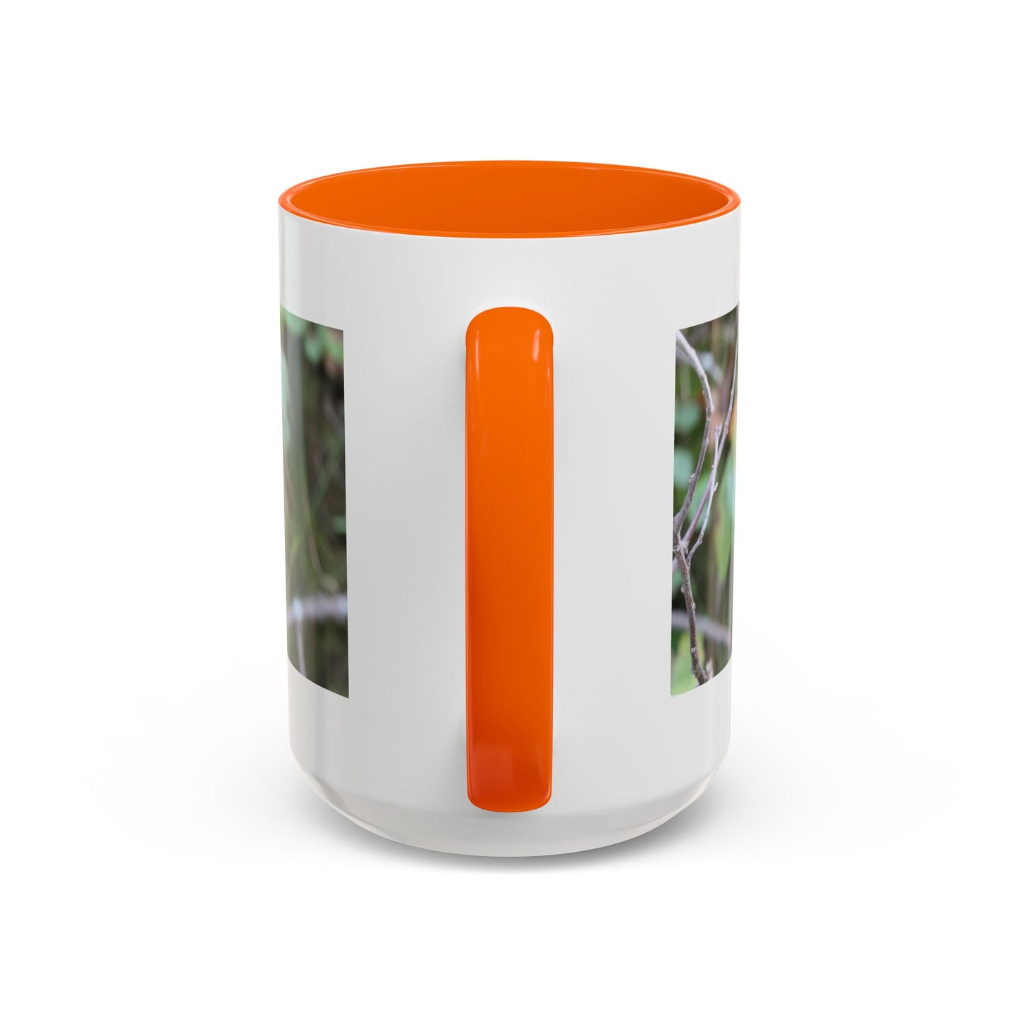 Cute Mink Photo Accent Mug – Wildlife Photography Coffee Cup (11/15 oz)