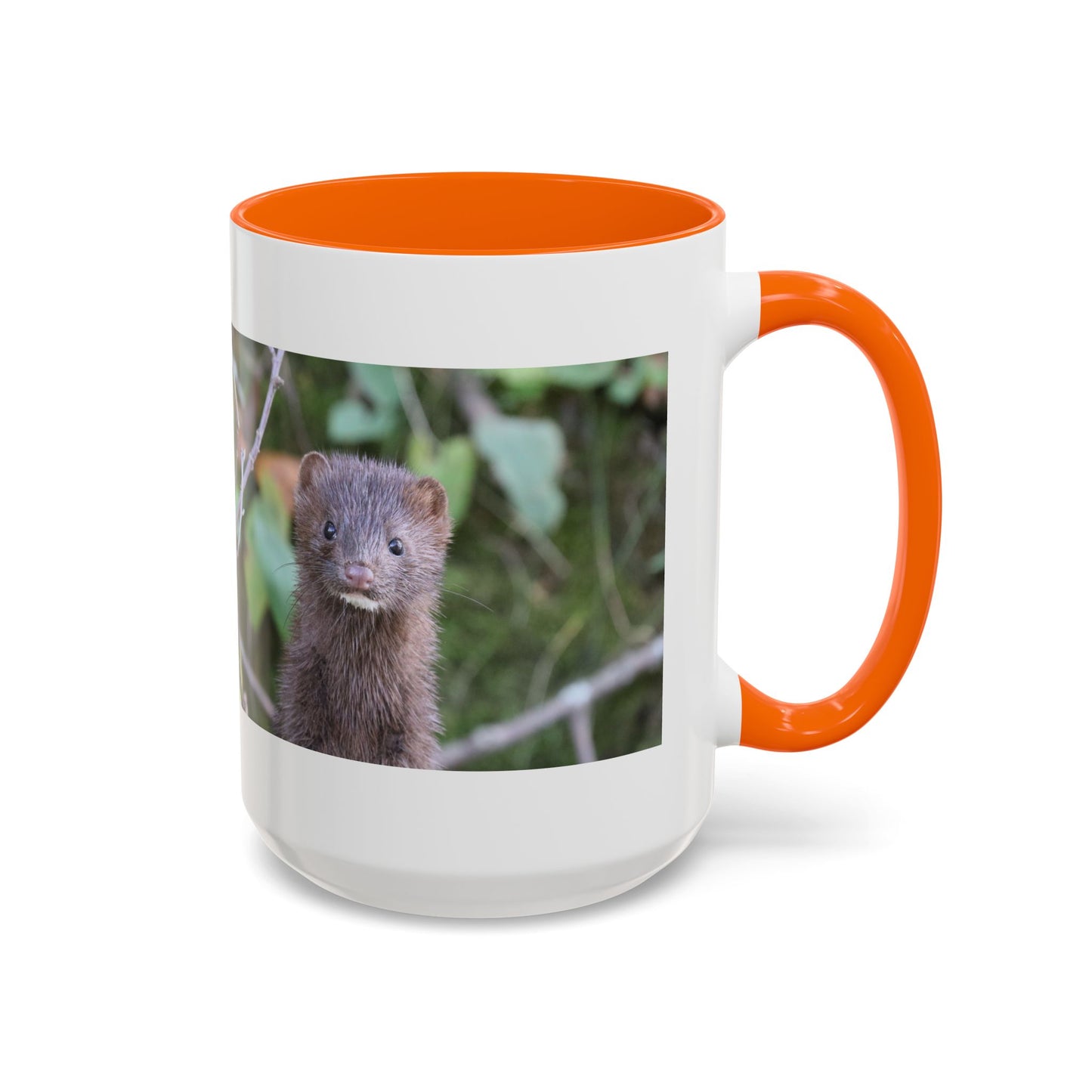 Cute Mink Photo Accent Mug – Wildlife Photography Coffee Cup (11/15 oz)