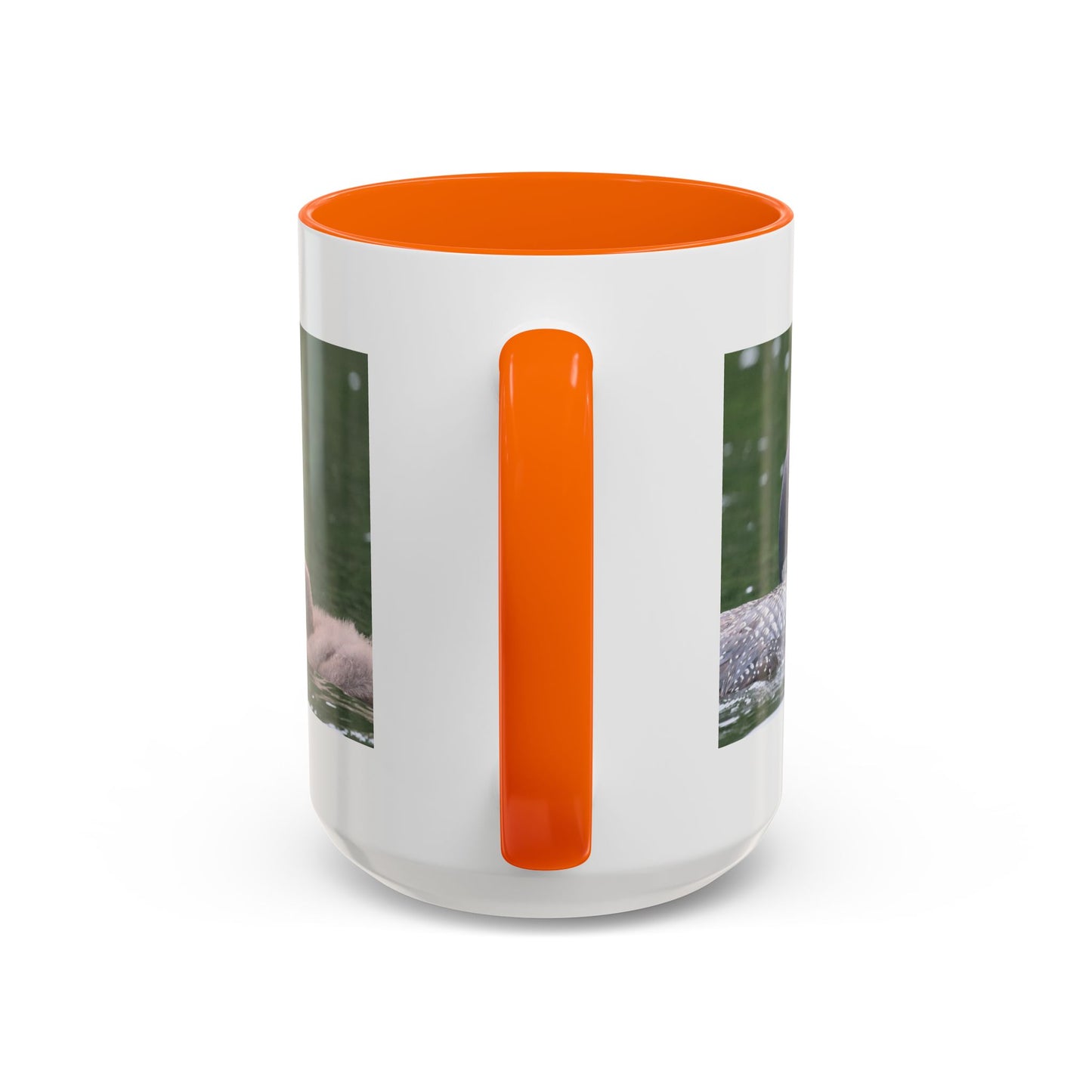Loon Family Accent Coffee Mug – Wildlife Photo Tea Mug (11/15 oz)