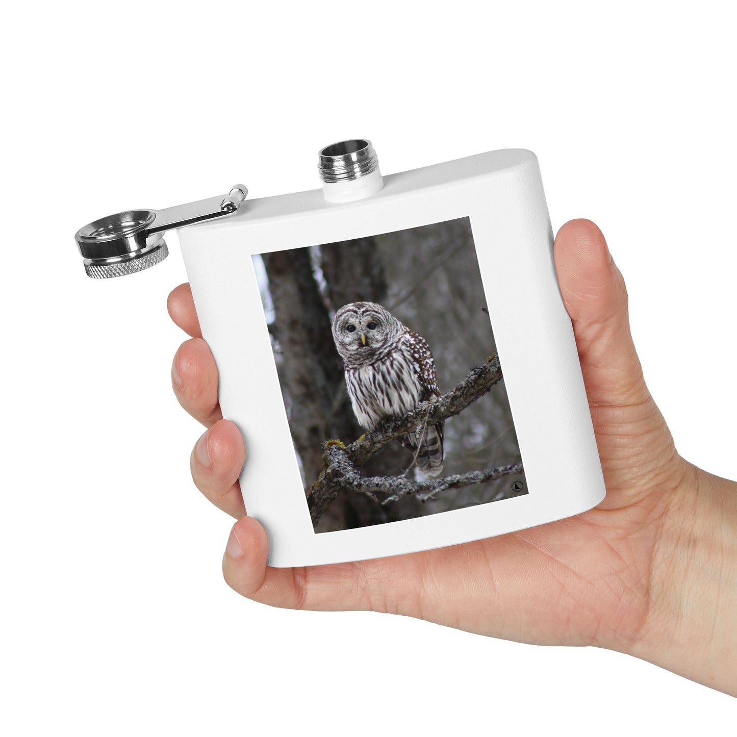 6oz Stainless Flask with Barred Owl Photo – Wildlife Nature Gift